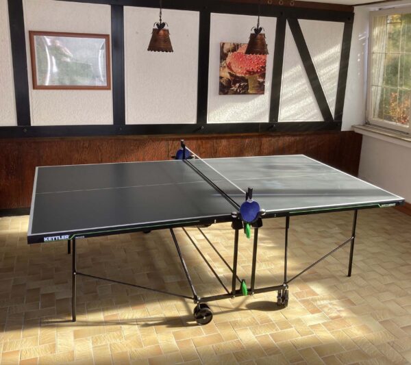Tischtennis